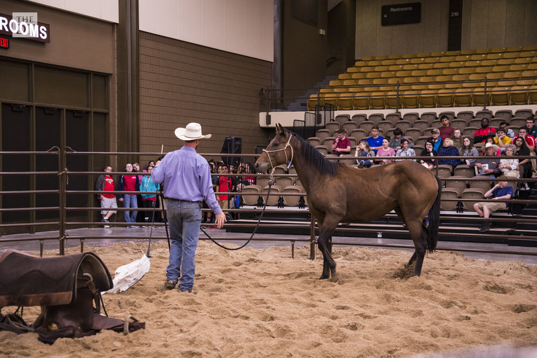 Cowboy Symposium
